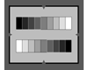 EIA halftone gray scale