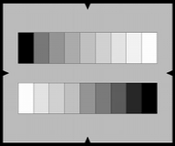 10 Step Grayscale Chart