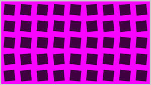 Magenta highlight color