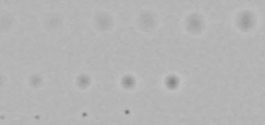 Blemish-filtered image, cropped