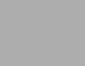 70% Gray Reflectance Target
