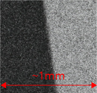 Close up of Black and White Film print quality