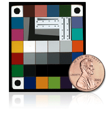 Micro Rez Checker 2020