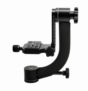 Gimbal head