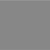 Gray 18%