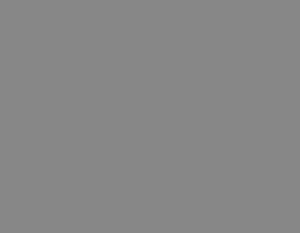18% Gray Reflectance Target