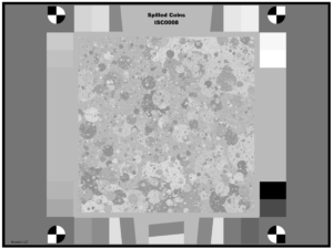 Black & White Imatest Spilled Coins (Dead Leaves) Test Chart
