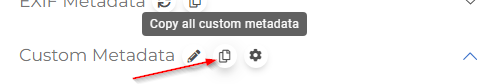 Custom Metadata - Copy Button