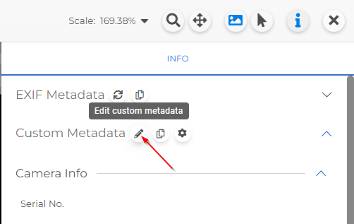 Custom Metadata - Edit Custom Metadata Button