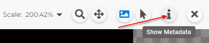 Custom Metadata - Image Metadata Button